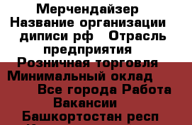 Мерчендайзер › Название организации ­ диписи.рф › Отрасль предприятия ­ Розничная торговля › Минимальный оклад ­ 25 000 - Все города Работа » Вакансии   . Башкортостан респ.,Караидельский р-н